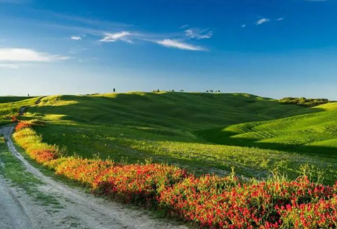 1692643105444830.png image.png