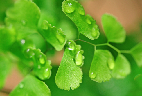 1692644100470775.png image.png