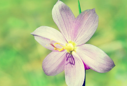 1692644930192471.png image.png