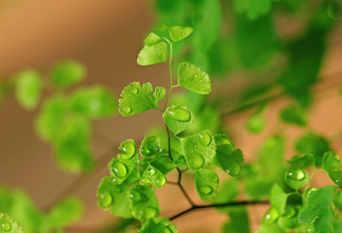 1692645262560919.png image.png