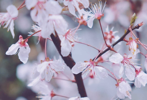 1692645925176805.png image.png