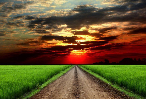 1692646091740697.png image.png