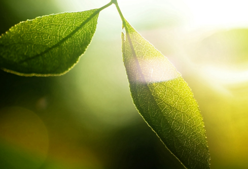 1692646588608042.png image.png