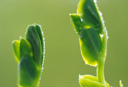 1692647085889931.png image.png