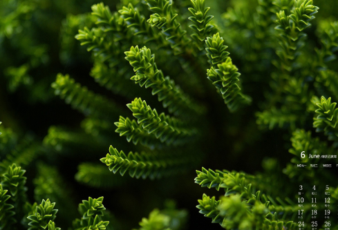 1692648743235375.png image.png