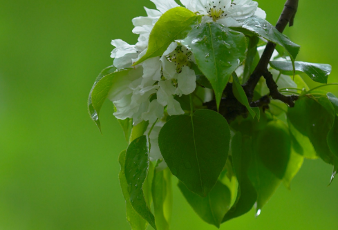 1692648909755851.png image.png