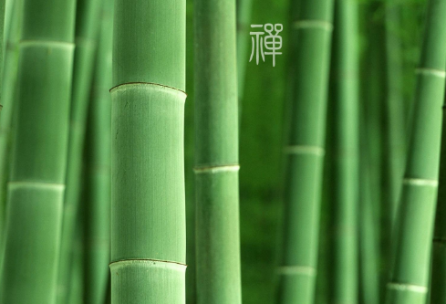 1692649241491175.png image.png