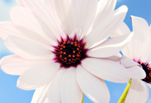 1692649739603453.png image.png