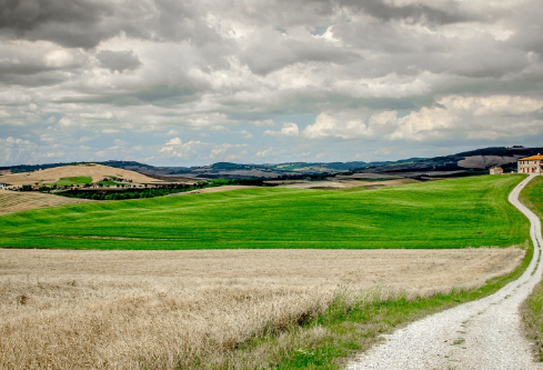 1692650071141354.png image.png