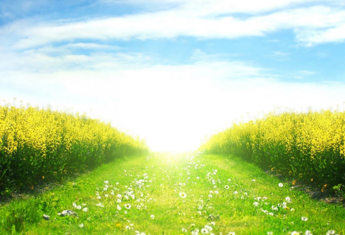 1692651231271149.png image.png