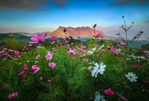 1692653222919666.png image.png