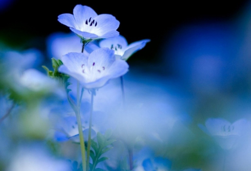 1692653719557045.png image.png