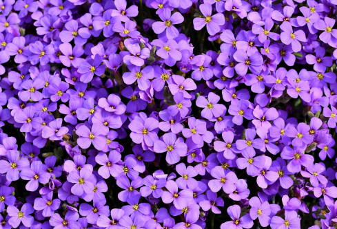 1692653885189207.png image.png