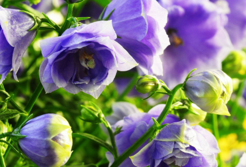 1692654382600338.png image.png