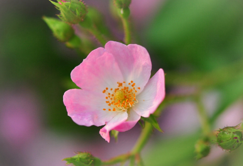 1692655378861724.png image.png