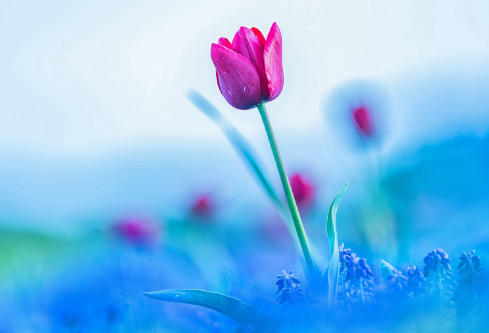 1692657368654716.png image.png