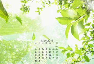 ​九阴真经名字