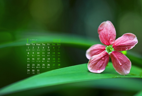 1692660023853107.png image.png