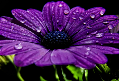 1692660355541377.png image.png