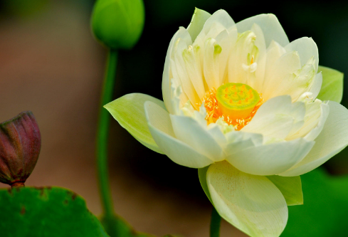 1692660687771922.png image.png