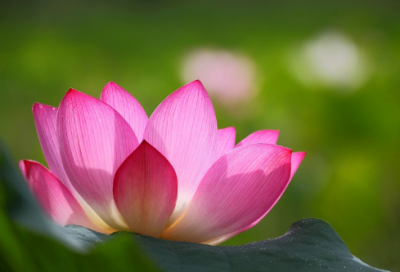 ​比较甜的女孩名字 小名字女孩叫什么好取名