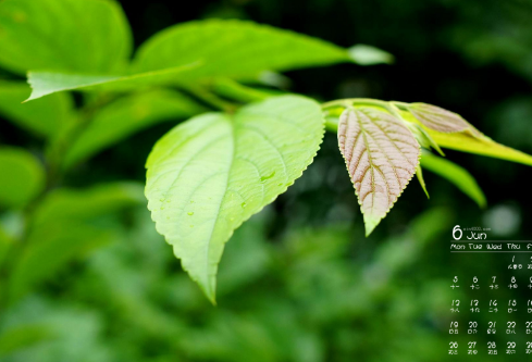 1692661184669487.png image.png