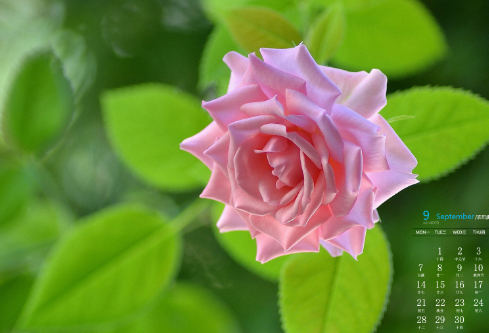 1692661682468869.png image.png