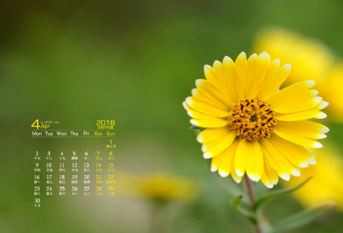 1692662842473978.png image.png