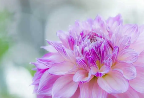 1692663340972856.png image.png