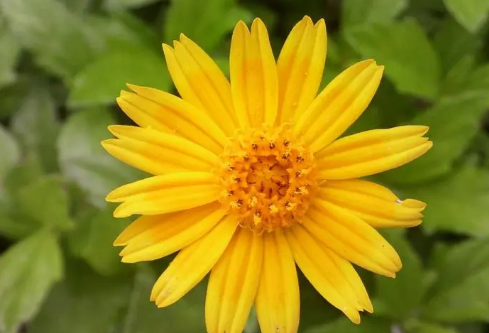 1692663506766212.png image.png