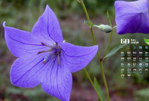 1692664169351275.png image.png