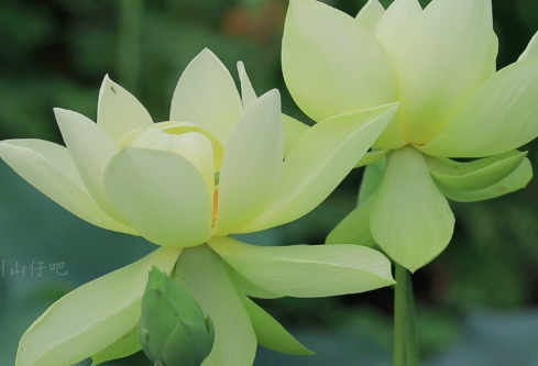 1692664999395658.png image.png