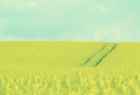 1692668480541715.png image.png