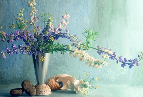 1692668646236373.png image.png