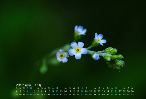 1692669143243303.png image.png