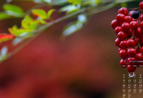 1692669309655102.png image.png