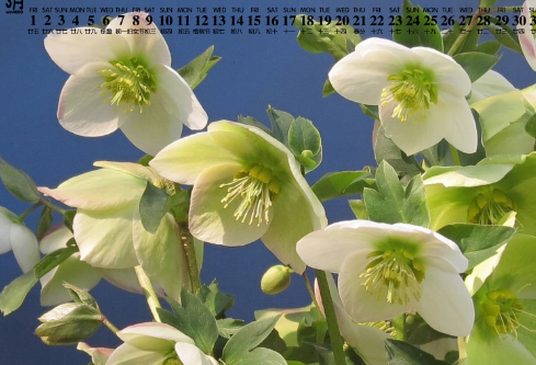 1692669476153385.png image.png