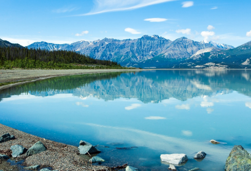 1692669973649432.png image.png