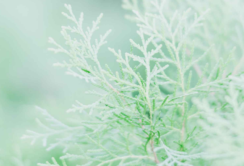 1692670305772170.png image.png