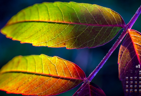 1692671134199987.png image.png