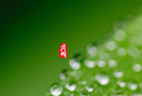 1692671300138858.png image.png