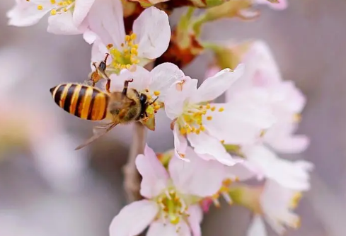 1692671466571562.png image.png