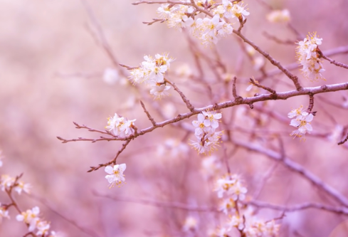 1692672460613492.png image.png