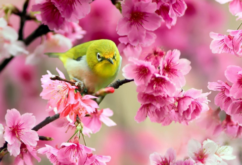 1692672792297059.png image.png