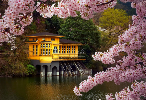 1692674286845721.png image.png