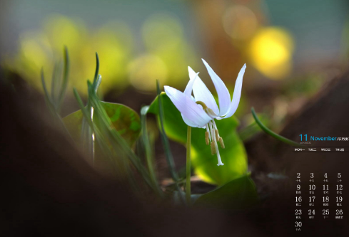 1692674452235884.png image.png