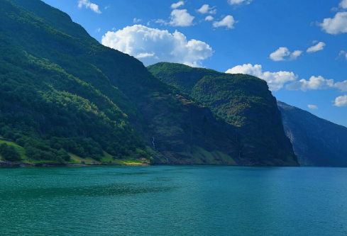 1717135335315537.png image.png