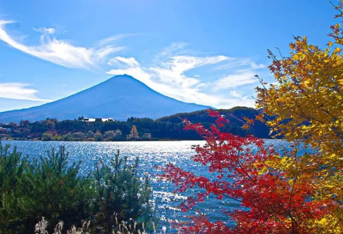 1717136002164469.png image.png