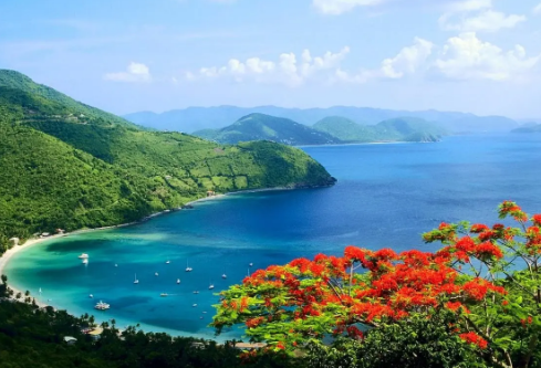 1717136168641613.png image.png