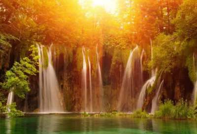 ​有趣的动物二年级作文